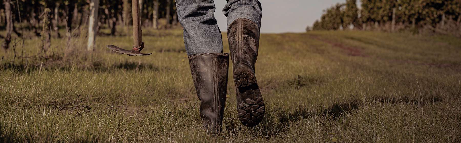 Síla. Odhodlání. Pokora.