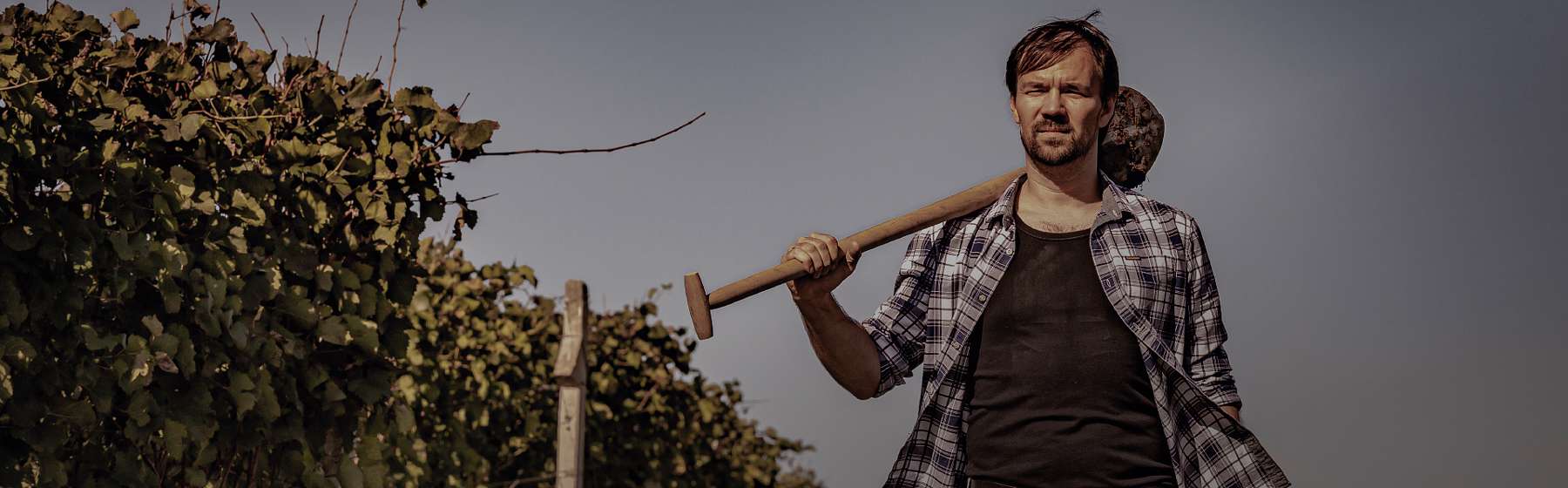 Strength. Determination. Humbleness.